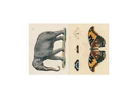 John Derian Sticker Book by John Derian