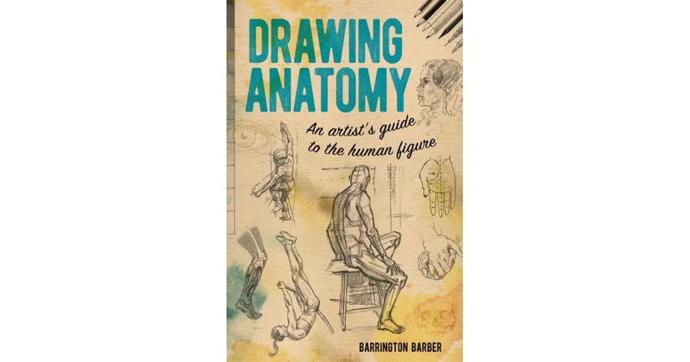 Drawing Anatomy