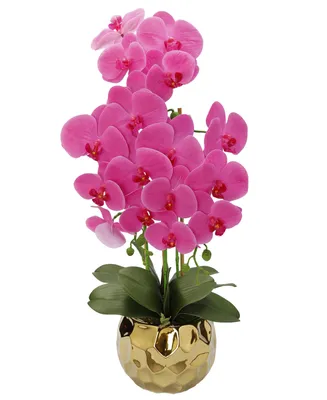 Orchid Plant in Round Design Vase - Gold