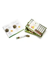 Palais des Thes Tea Library Flavored Tea Gift Set