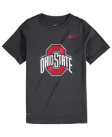 Big Boys Nike Anthracite Ohio State Buckeyes Logo Legend Performance T-shirt