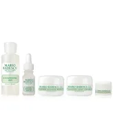 Mario Badescu 5