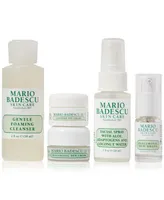 Mario Badescu 6