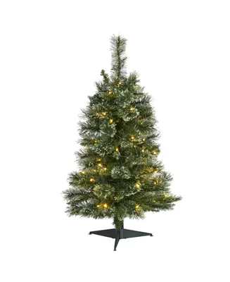 Wisconsin Slim Snow Tip Pine Artificial Christmas Tree with Lights, 36"