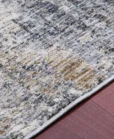 Amer Rugs Vermont Allaine 2'7" x 8' Runner Area Rug