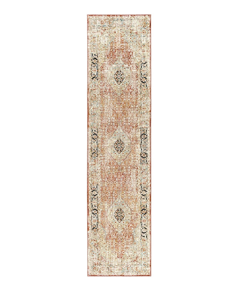 Surya Aspendos Aps- 2'7" x 7'3" Runner Area Rug