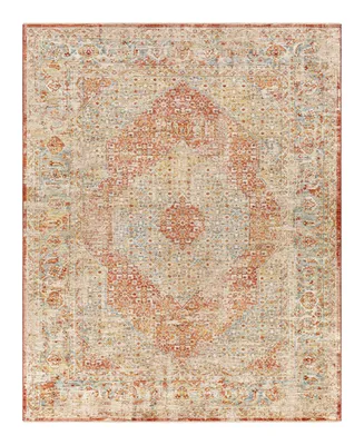 Surya Aspendos Aps- 6'7" x 9'6" Area Rug