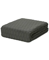 Lauren Ralph Classic 100% Cotton Blanket