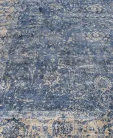 Exquisite Rugs Cassina Er2545 Area Rug