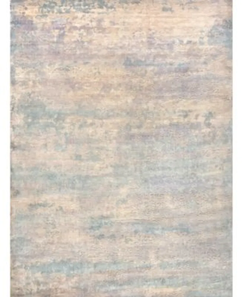 Exquisite Rugs Reflections Er2511 Area Rug