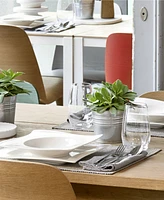 Villeroy & Boch New Wave Dinner Plate