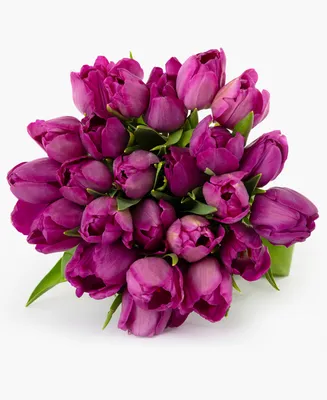 BloomsyBox Purple Pop Tulips Fresh Flower Bouquet