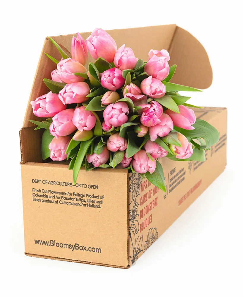 BloomsyBox Princess Tulip Fresh Flower Bouquet