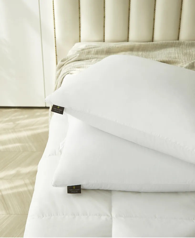 Farm to Home Softy-Around White Feather & Down Cotton 2-Pack Pillow