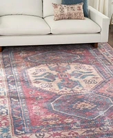 Nicole Curtis Series 1 SR105 Machine-Washable 7'10" x 9'10" Area Rug
