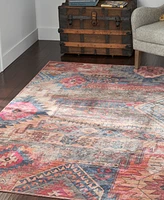 Nicole Curtis Series 1 SR106 Machine-Washable 5'3" x 7'3" Area Rug