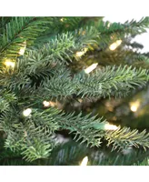 6.5' Pre-Lit Royal Majestic Douglas Fir Downswept Tree with 500 Underwriters Laboratories Clear Incandescent Lights, 3402 Tips