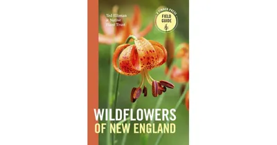 Wildflowers of New England by Ted Elliman