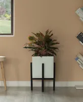 Indoor and Outdoor Planting Box, Large Planter