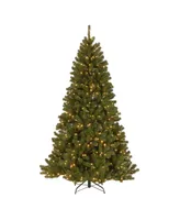 National Tree Company 7.5' Power Connect North Valley Spruce Tree with Light Parade Led Lights