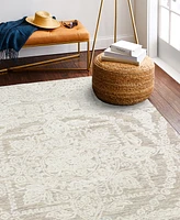 Bb Rugs Adige ADI173 7'6" x 9'6" Area Rug