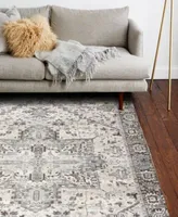 Bb Rugs Cennial Cnl102 Area Rug