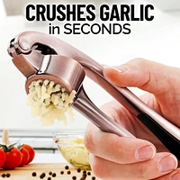 Premium Garlic Press Set - Rust Proof & Dishwasher Safe Professional Mincer Tool