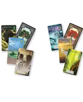 Alderac Entertainment Group Aeg Mystic Vale Essential Edition Base Game and 3 Expansions