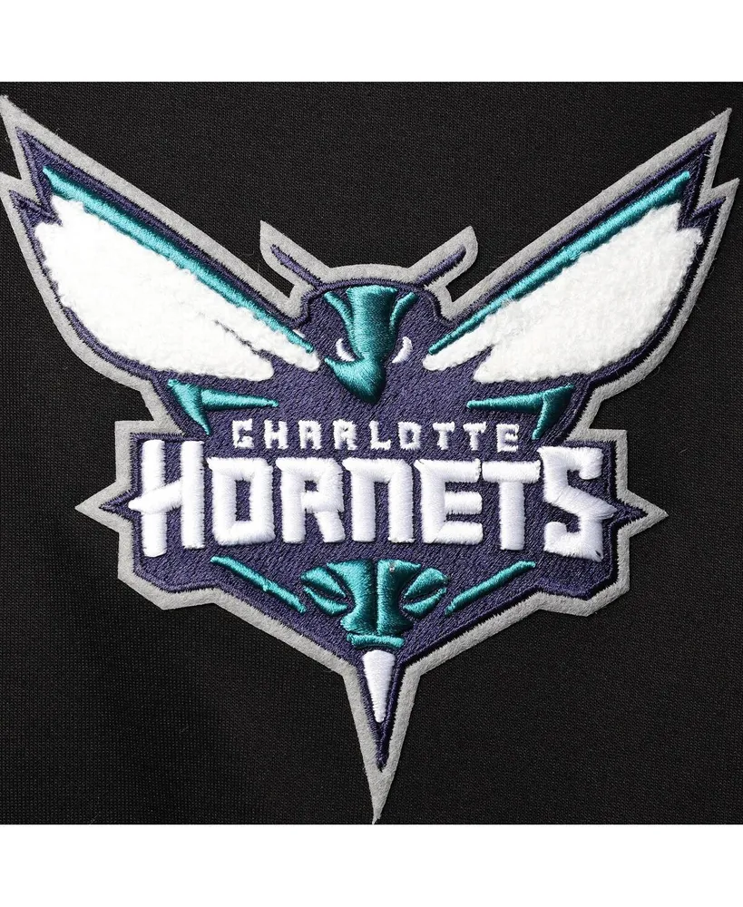 Men's Pro Standard Black Charlotte Hornets Logo Pullover Hoodie