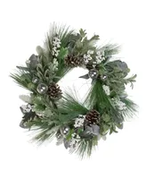 Northlight Artificial Christmas Wreath With Assorted Foliage and Berries Unlit, 24"