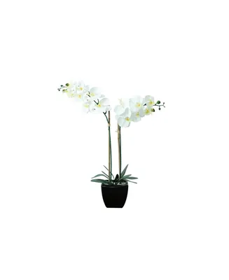 Nature's Elements Tabletop Real Touch Artificial Orchid