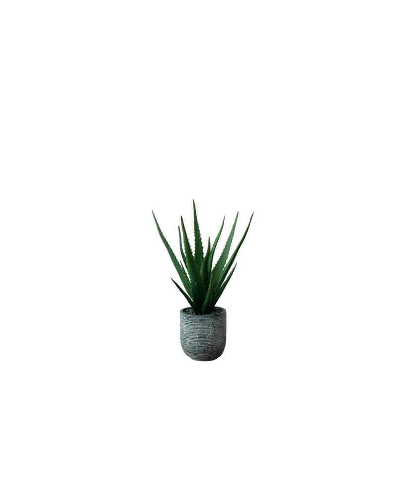 Nature's Elements Desktop Artificial Agave in Decorative Cement Pot