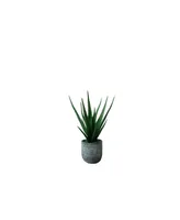 Nature's Elements Desktop Artificial Agave in Decorative Cement Pot