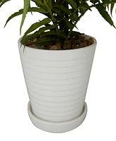 Traditional Fern Artificial Plant, 14.45"