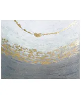 Empire Art Direct Golden Tundra Textured Glitter Hand Painted Canvas Wall Art, 30" x 40" - Gray, Gold