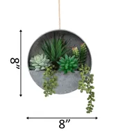 Flora Bunda Succulent in Hanging Galvanized Tin Wall Planter, 8"