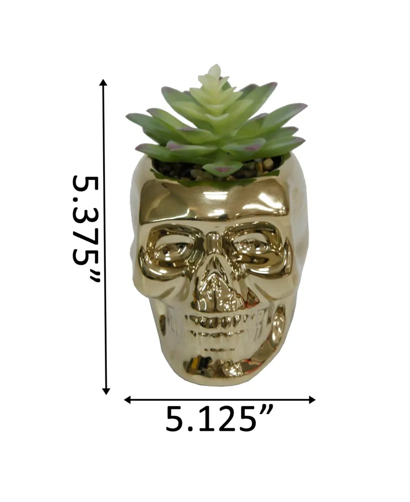 Flora Bunda Met Skull Succulent, 5.13" - Gold