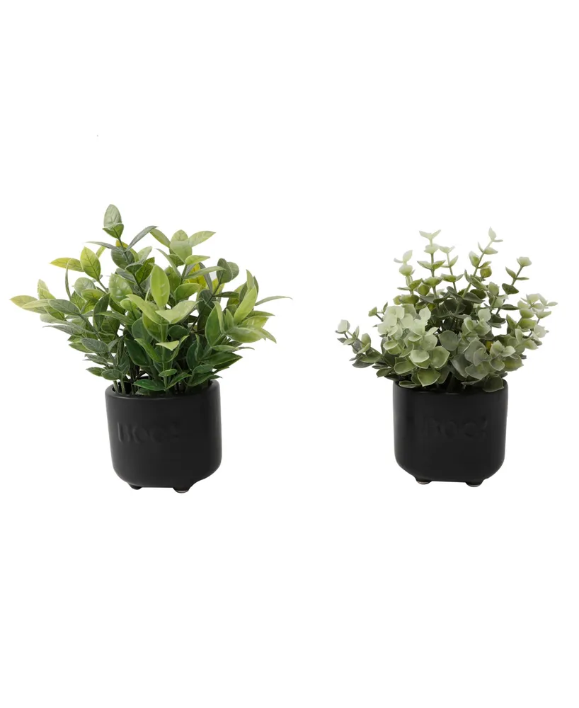 Flora Bunda Eucalyptus Tealeaf in Mini Boo Ceramic Pot Set, 2 Piece