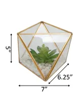 Flora Bunda Glass Square Open Top Terrarium with Faux Succulents Garden, 7"