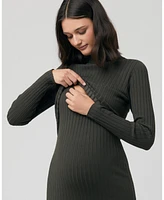 Ripe Maternity Nella Long Sleeve Rib Nursing Knit Dress Ivy