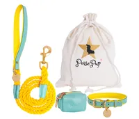 PoisePup Pet Dog 5ft Long Leash - Sunshine Babe