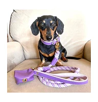 PoisePup Pet Dog Collar - Lavish Lavender