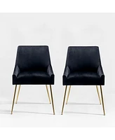 Upholstered Performance Velvet Accent Chair With Metal Leg (Set of 2)