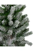 Northlight 5' Flocked Alpine Unlit Artificial Christmas Trees, Set of 3