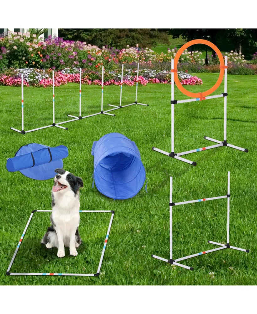 PawHut Outdoor Dog Pet Agility Training Equipment Backyard Starter Course Set