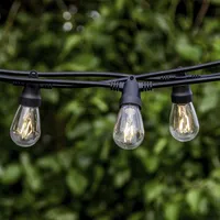 Brightech Ambience Pro 48 ft. Outdoor Solar Led String Lights with Remote Control