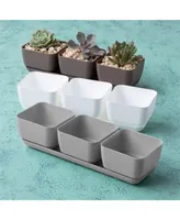 Novelty 10013 Herb & Succulent Trio Planter/Flower Pot, Taupe, 12"