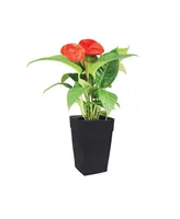 Dcn Plastic Harmony SelfWatering Tall Planter 12 x 18