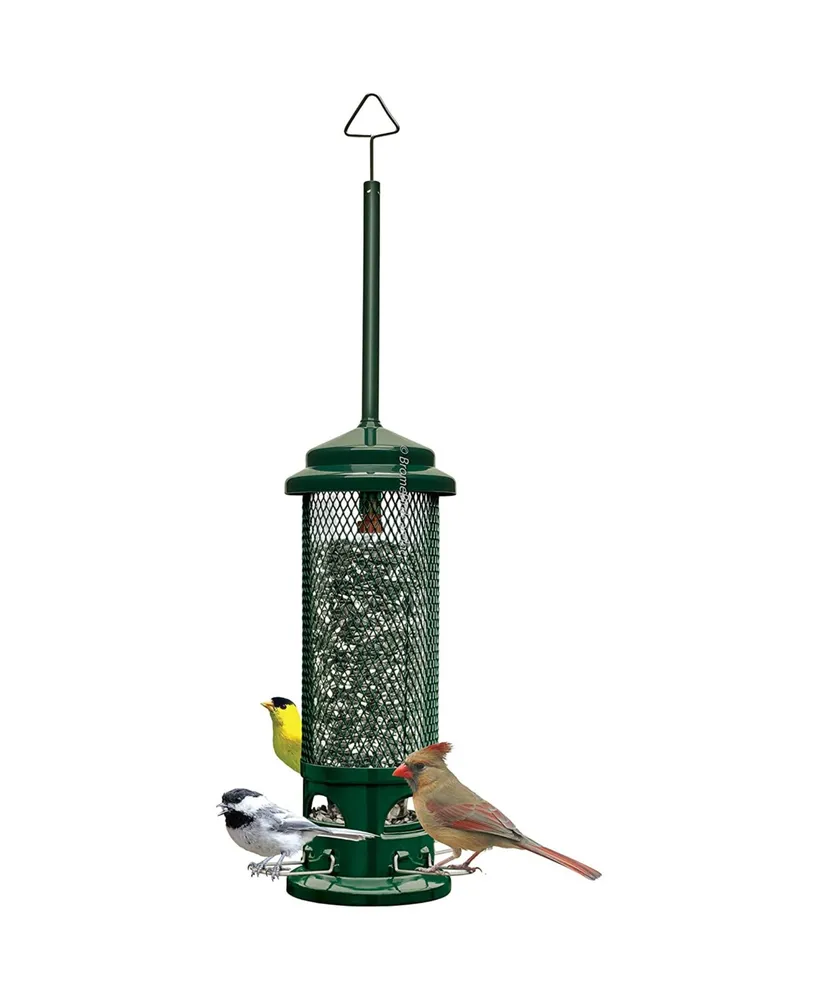 Squirrel Buster Legacy Squirrel-proof Bird Feeder 2.6lb Seed Capacity