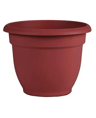 Bloem AP0613 Ariana Planter with Self-Watering Disk, Burnt Red - 6 inches